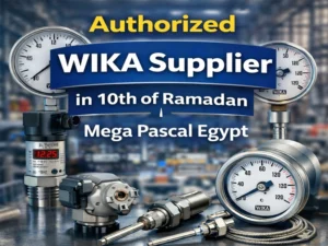 Authorized WIKA Supplier in 10th of Ramadan – Mega Pascal Got Your Back